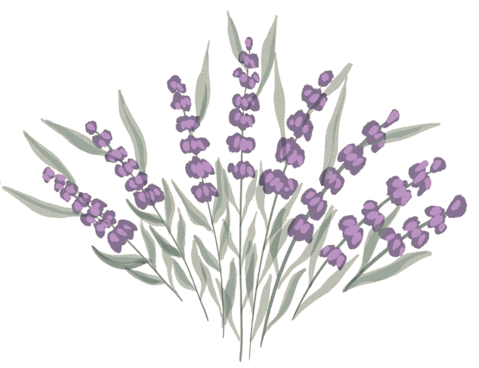 Lavender